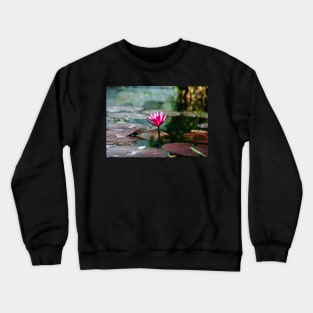 Meditation Wall Art Print - Water Lily Meditation - canvas, Photo print, artboard print, poster Canvas Print Crewneck Sweatshirt